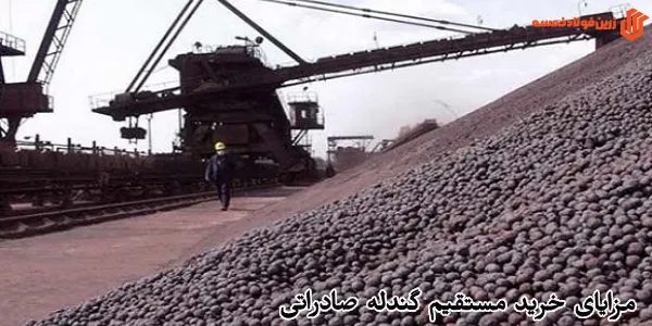 مزایای خرید مستقیم گندله صادراتی